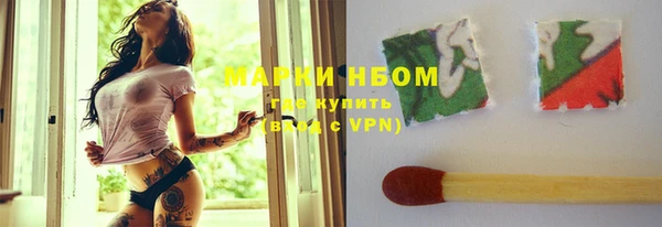 твердый Невьянск
