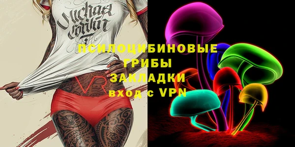 первитин Новозыбков