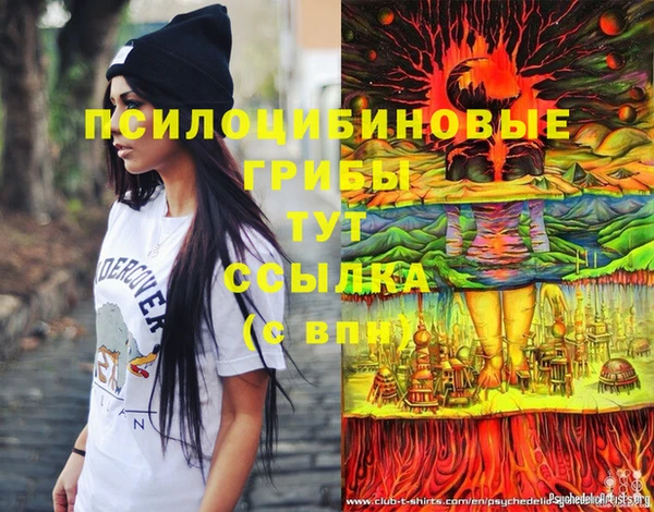 метадон Няндома